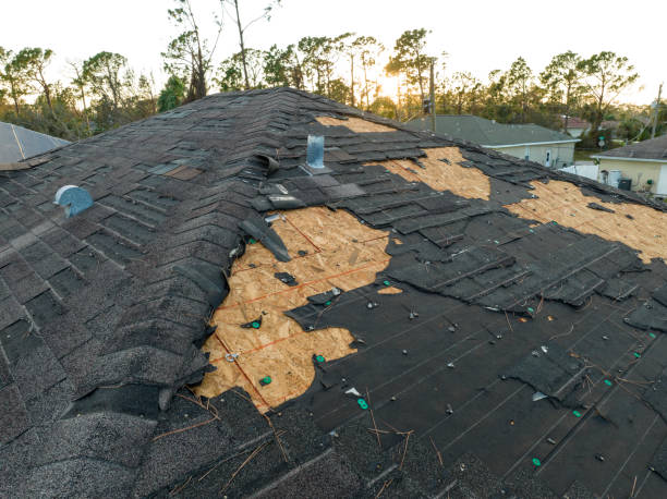 Best Green or Eco-Friendly Roofing Solutions  in Dane, WI