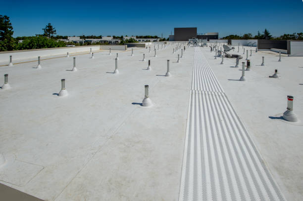 Best Commercial Roofing Services  in Dane, WI